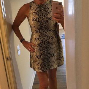 Snakeskin Lace Mini Dress